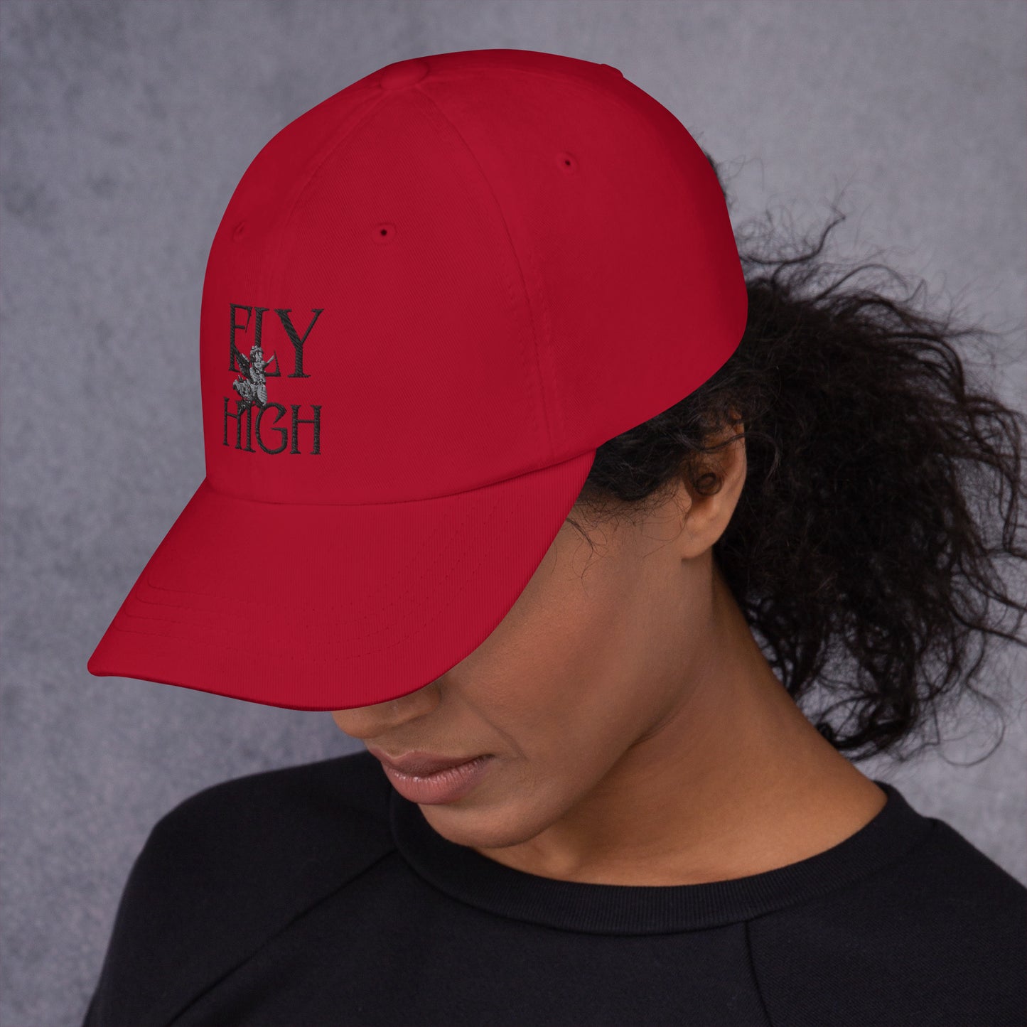 Fly High Dad hat
