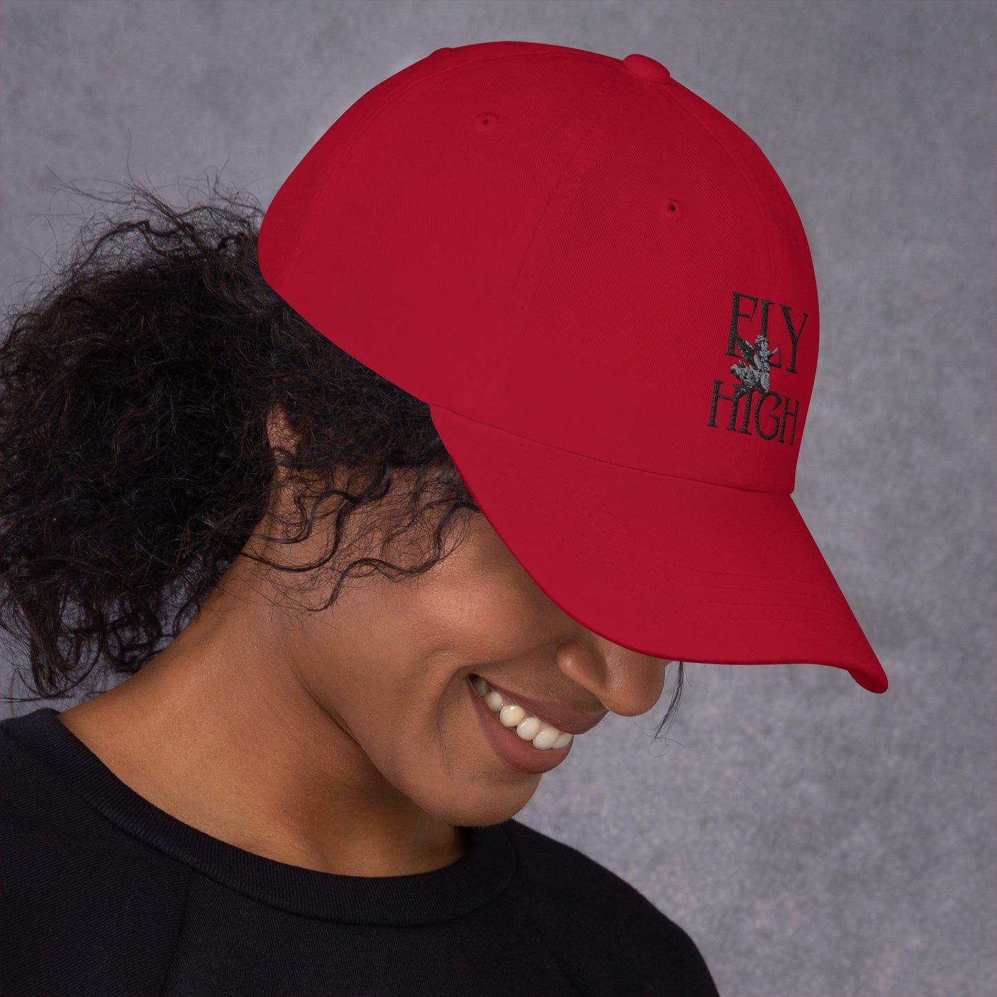Fly High Dad hat