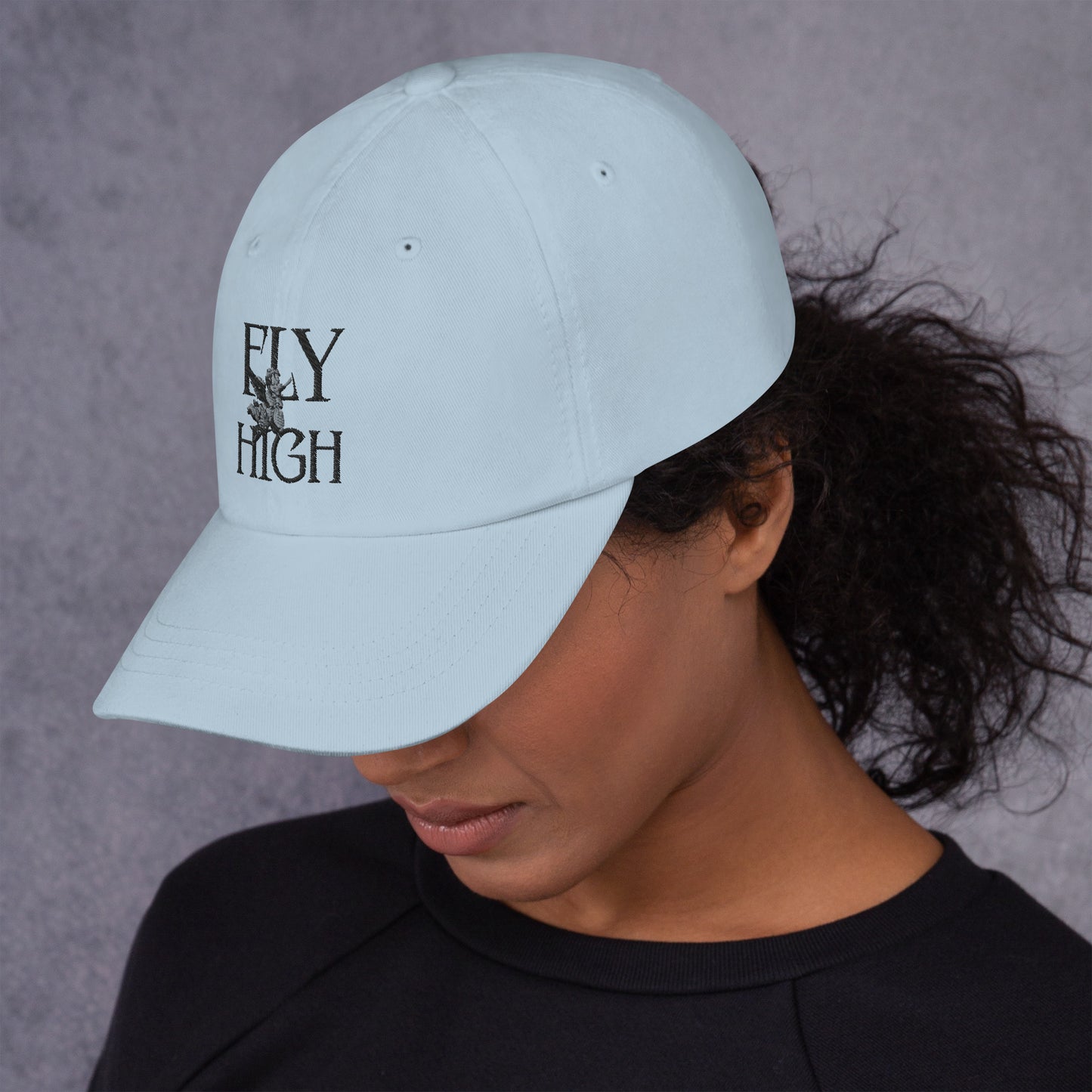 Fly High Dad hat