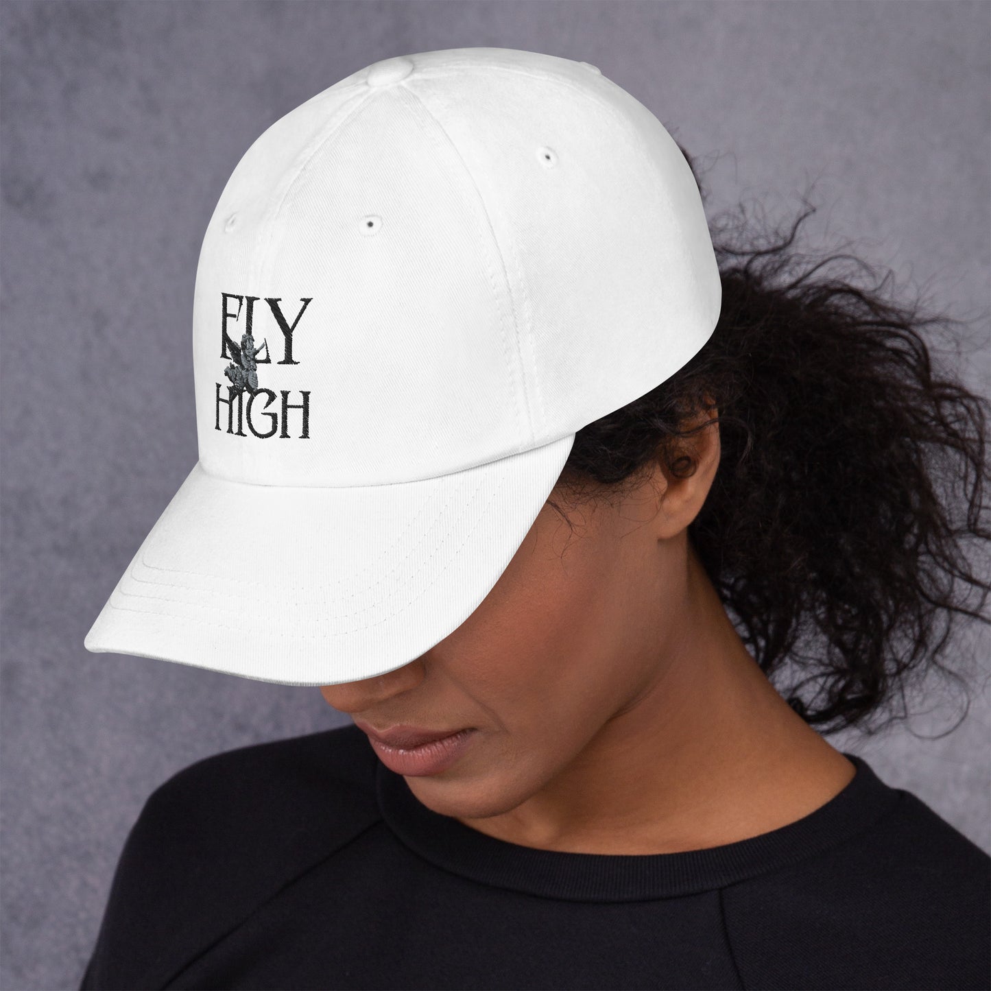 Fly High Dad hat