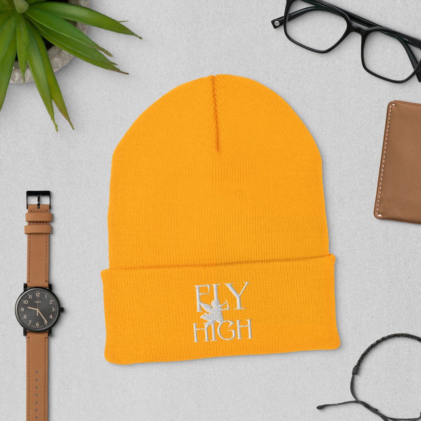 Fly High Cuffed Beanie