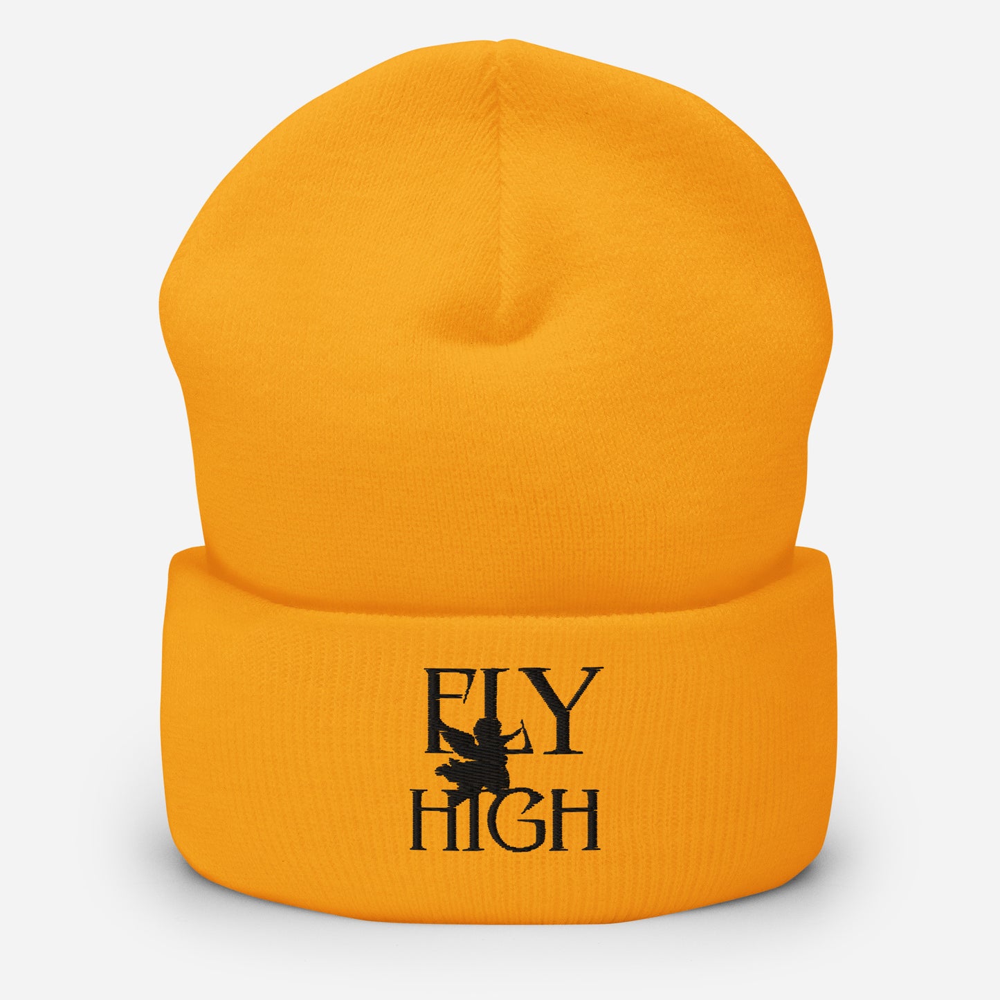 Fly High Cuffed Beanie