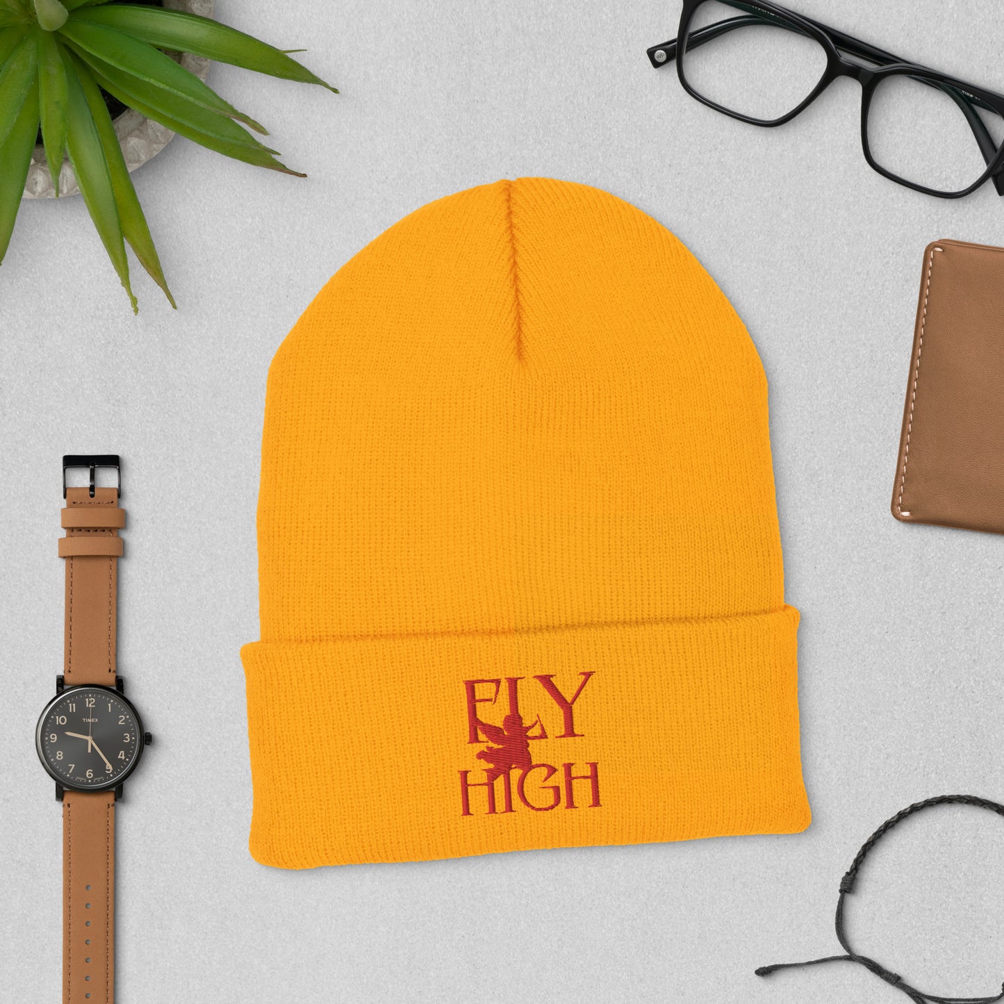 Fly High Cuffed Beanie