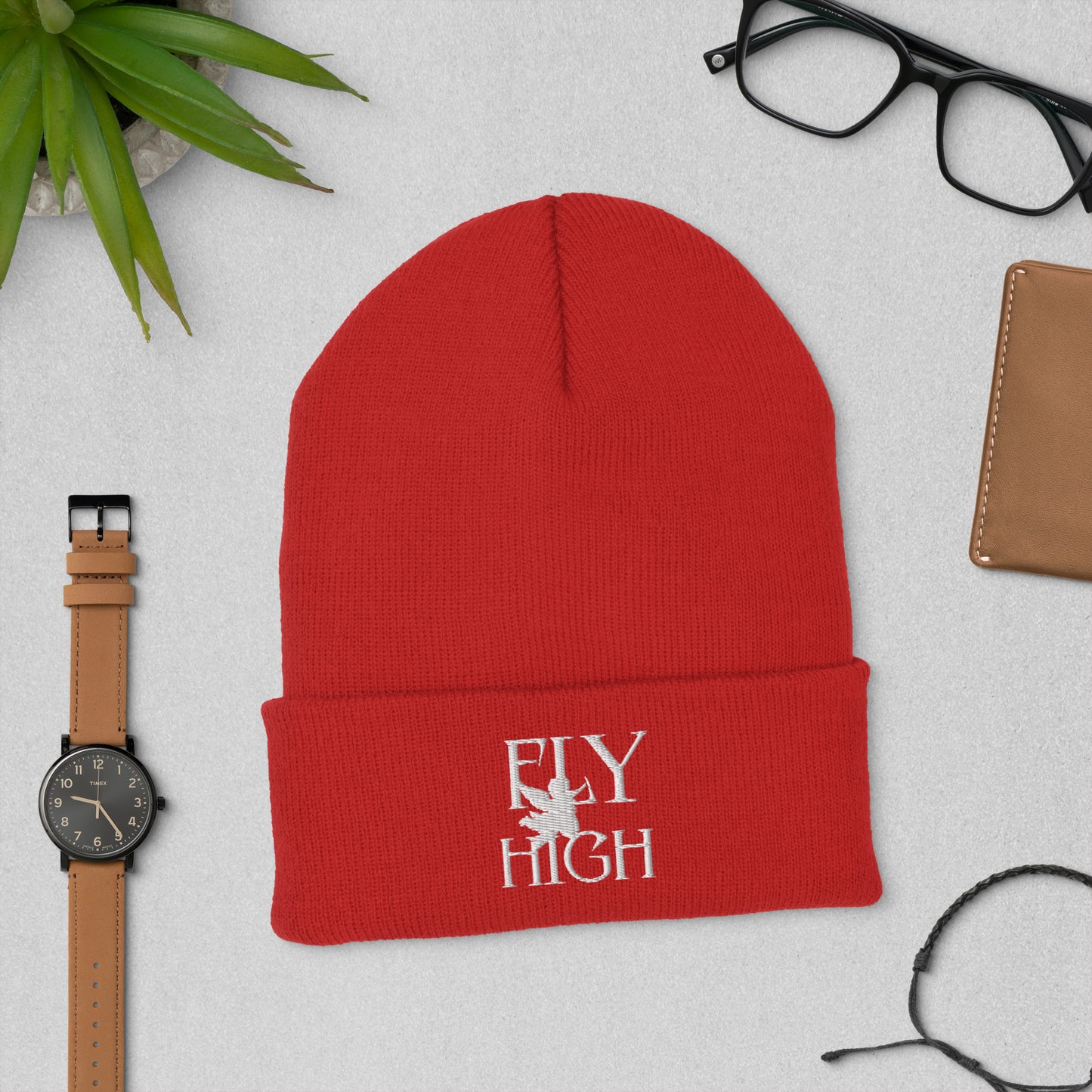 Fly High Cuffed Beanie